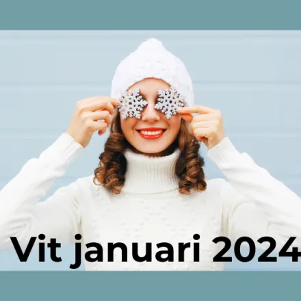 Nyktis webbsida storlek 2