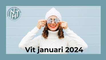 Nyktis webbsida storlek 2